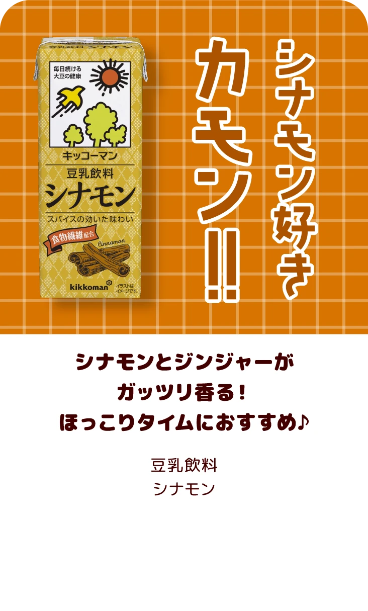 シナモンとジンジャーがガッツリ香る！ほっこりタイムにおすすめ♪ 豆乳飲料 シナモン